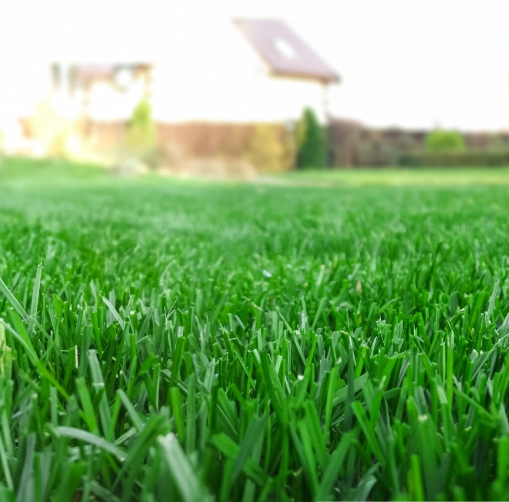 Grass Catchers Eco Care The Best Lawn Care Service Serving Saint John